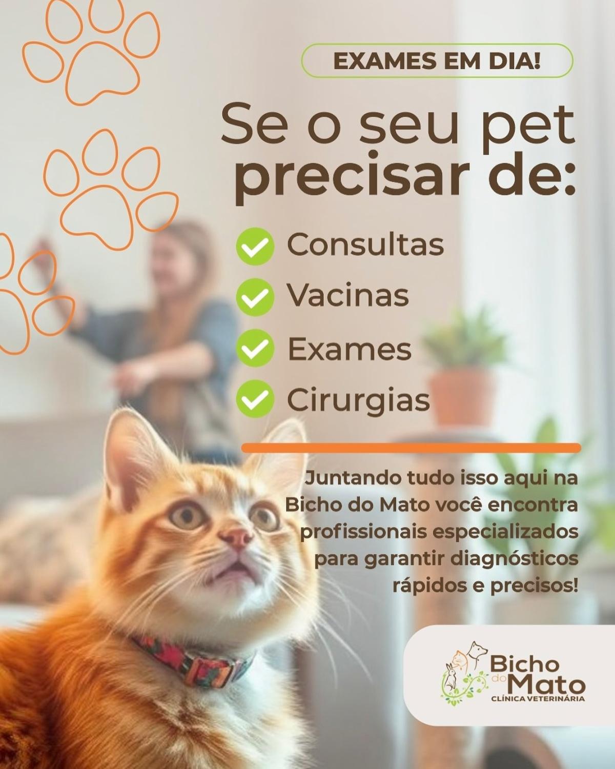 Bicho do Mato Clínica Veterinária Bicho do Mato Clínica Veterinária