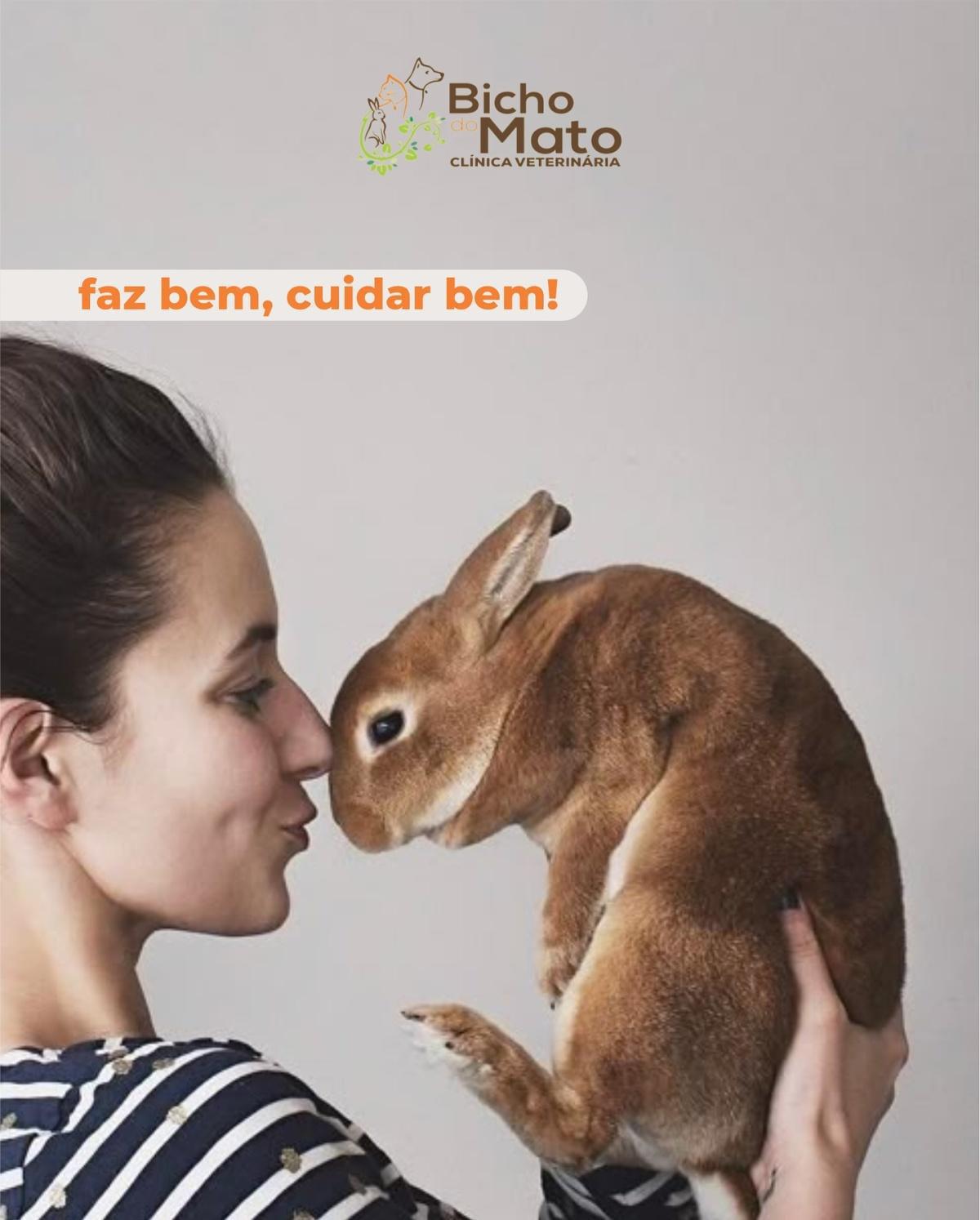 Bicho do Mato Clínica Veterinária Bicho do Mato Clínica Veterinária