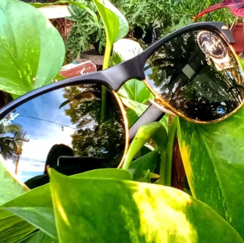 Casa dos Óculos Aguiar