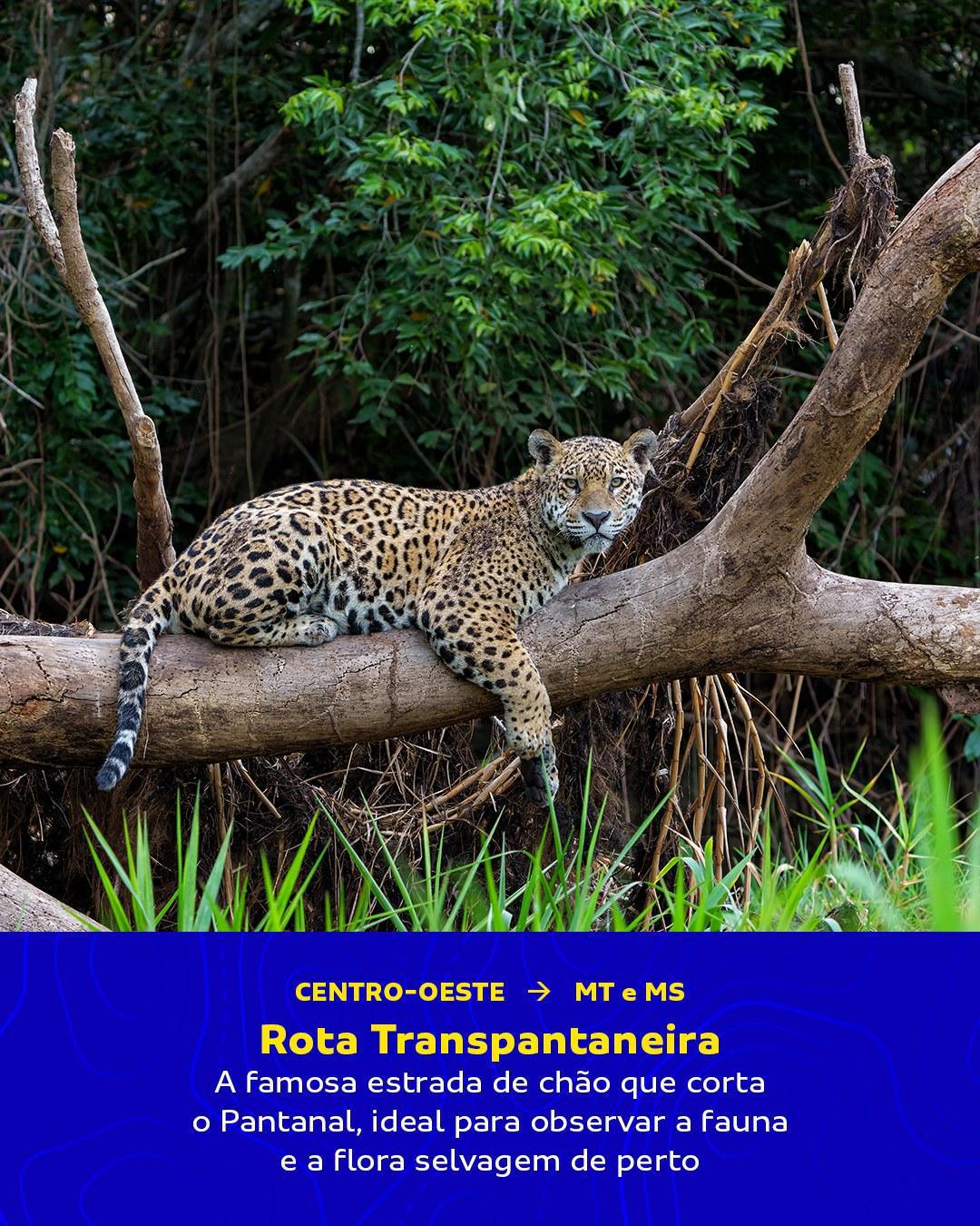 CVC Gravataí CVC Gravataí