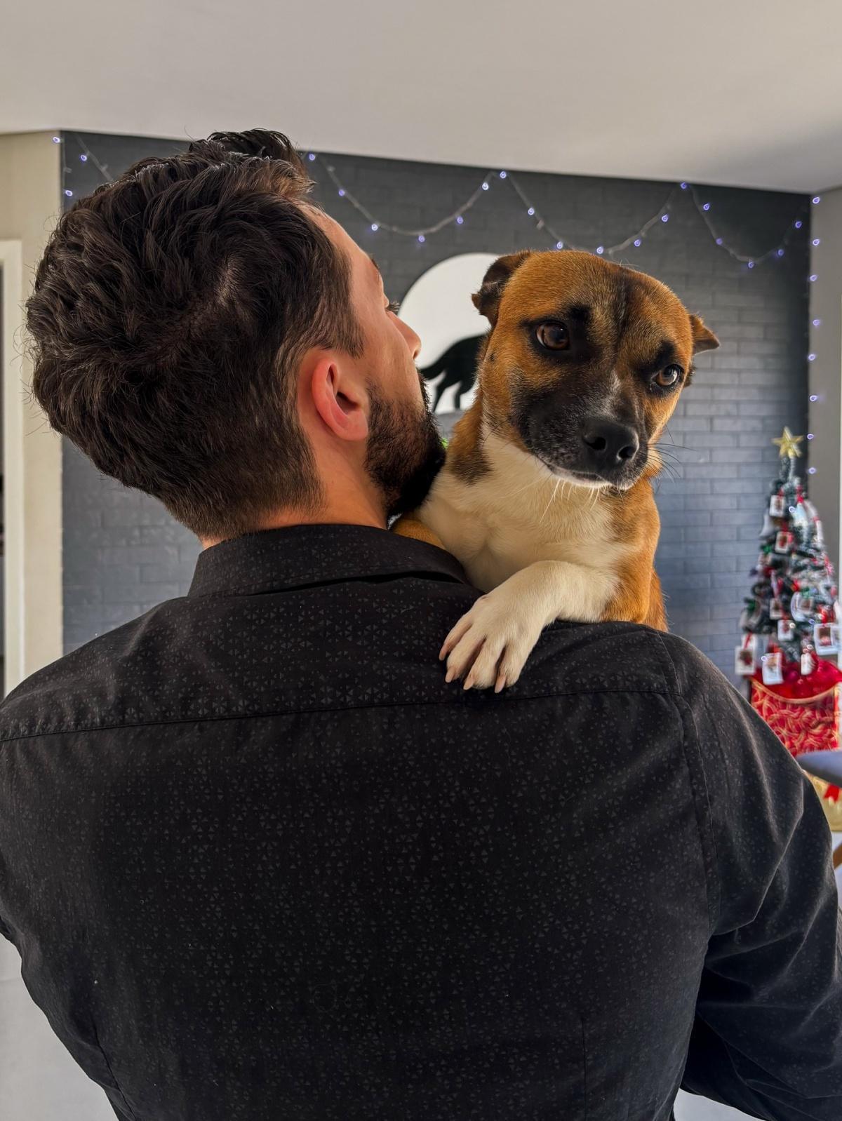 Alfa Centro Veterinário Alfa Centro Veterinário