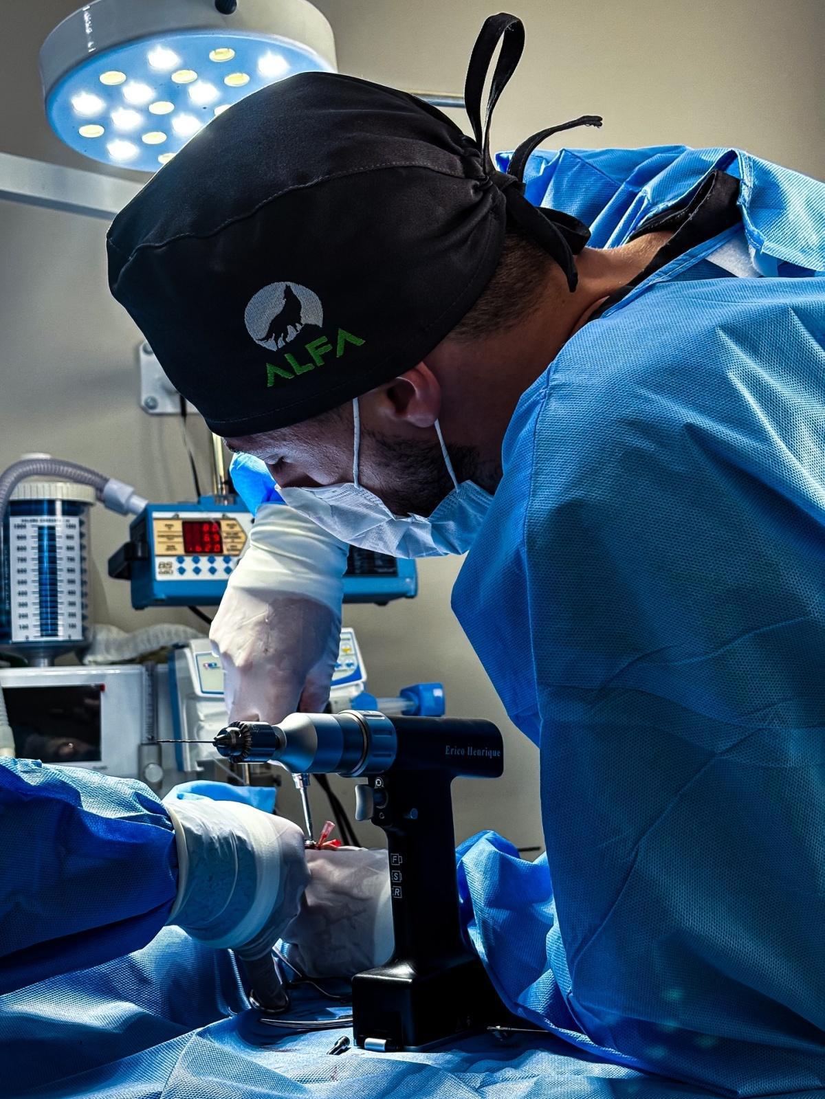 Alfa Centro Veterinário Alfa Centro Veterinário