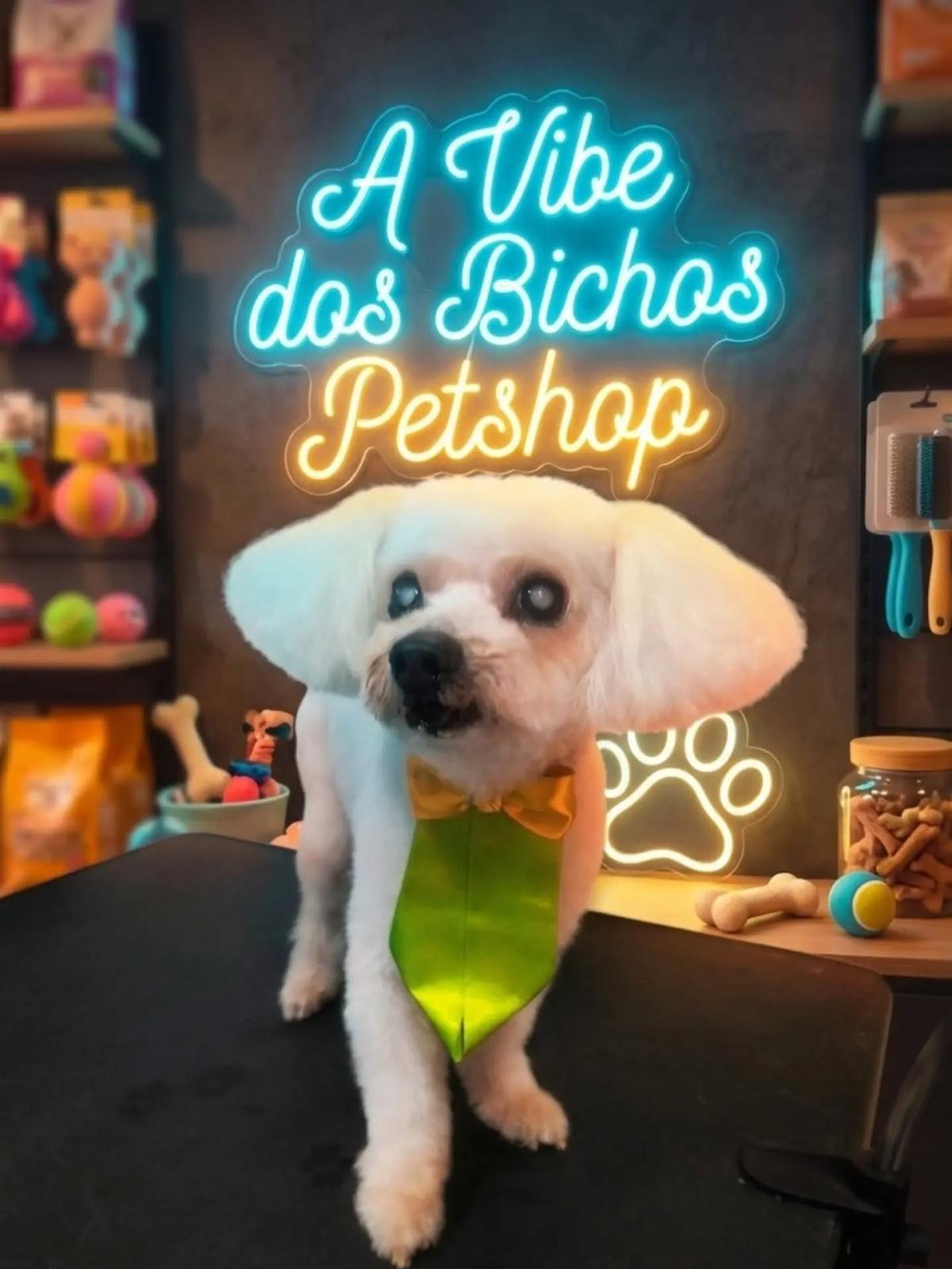 Vibe dos Bichos Agropet Vibe dos Bichos Agropet