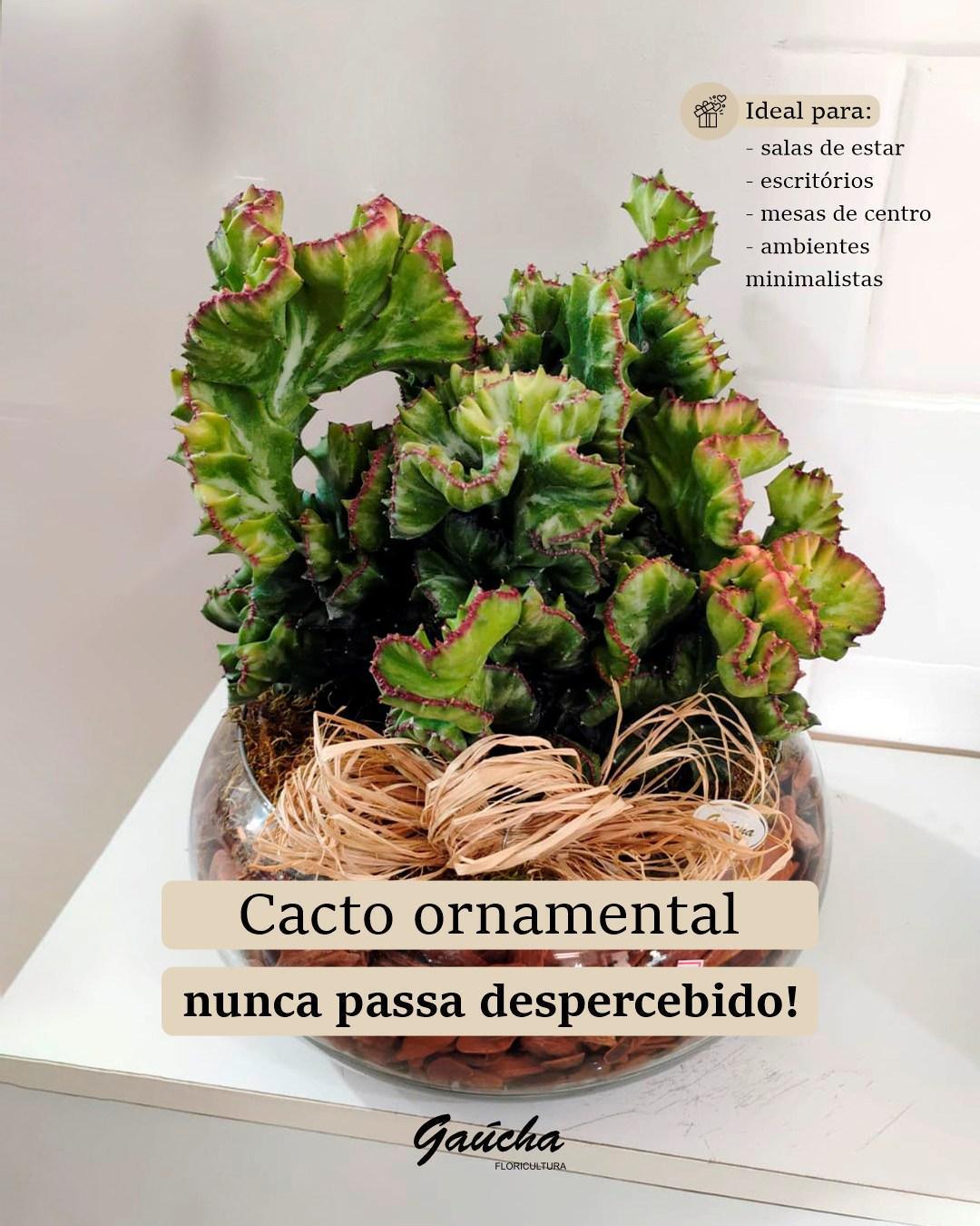 Gaúcha Decorações Gaúcha Decorações