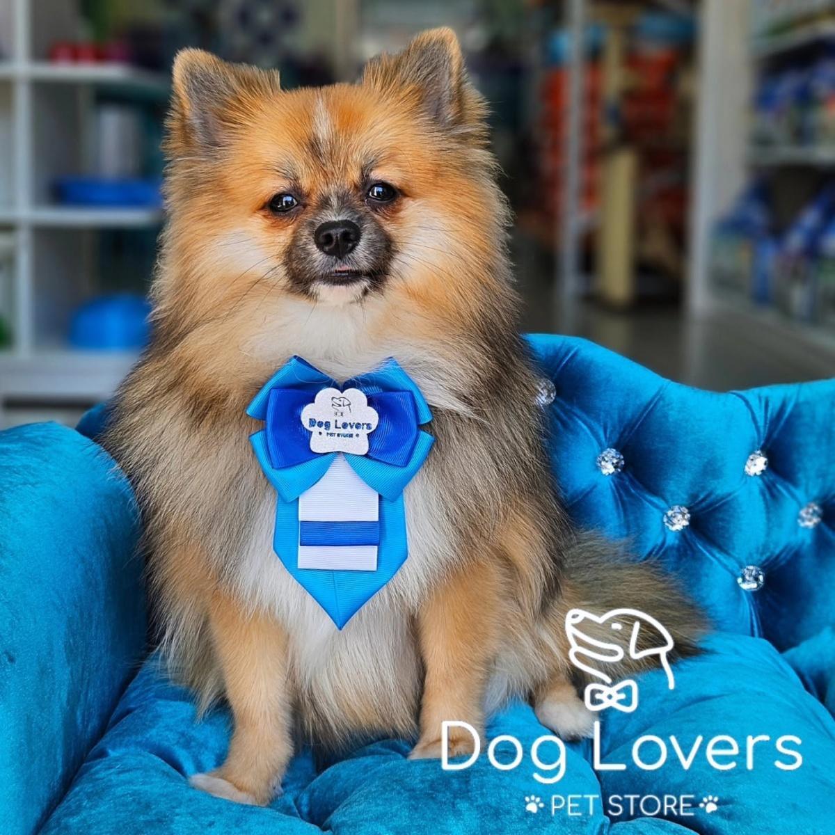 Dog Lovers Pet Store Dog Lovers Pet Store
