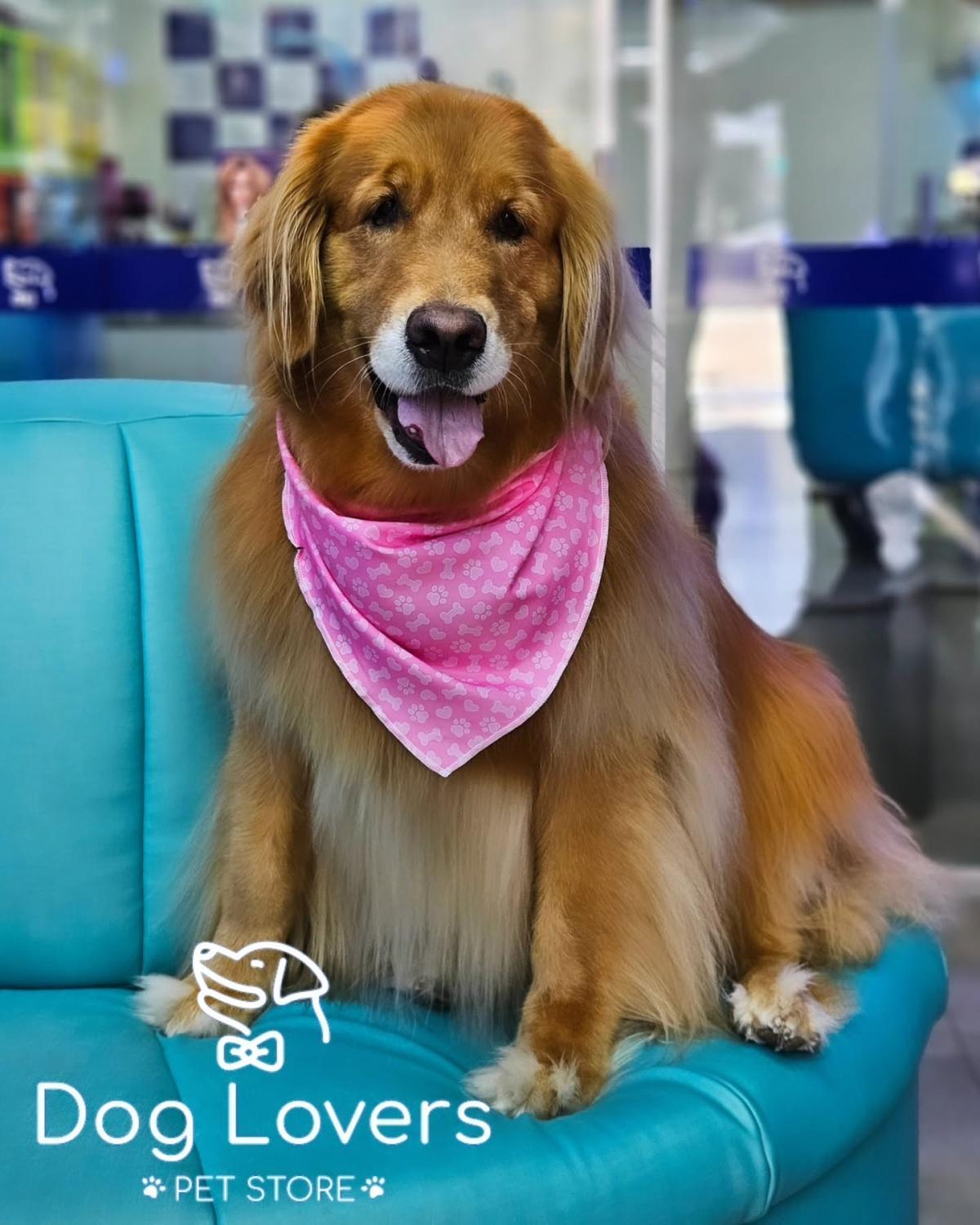 Dog Lovers Pet Store Dog Lovers Pet Store