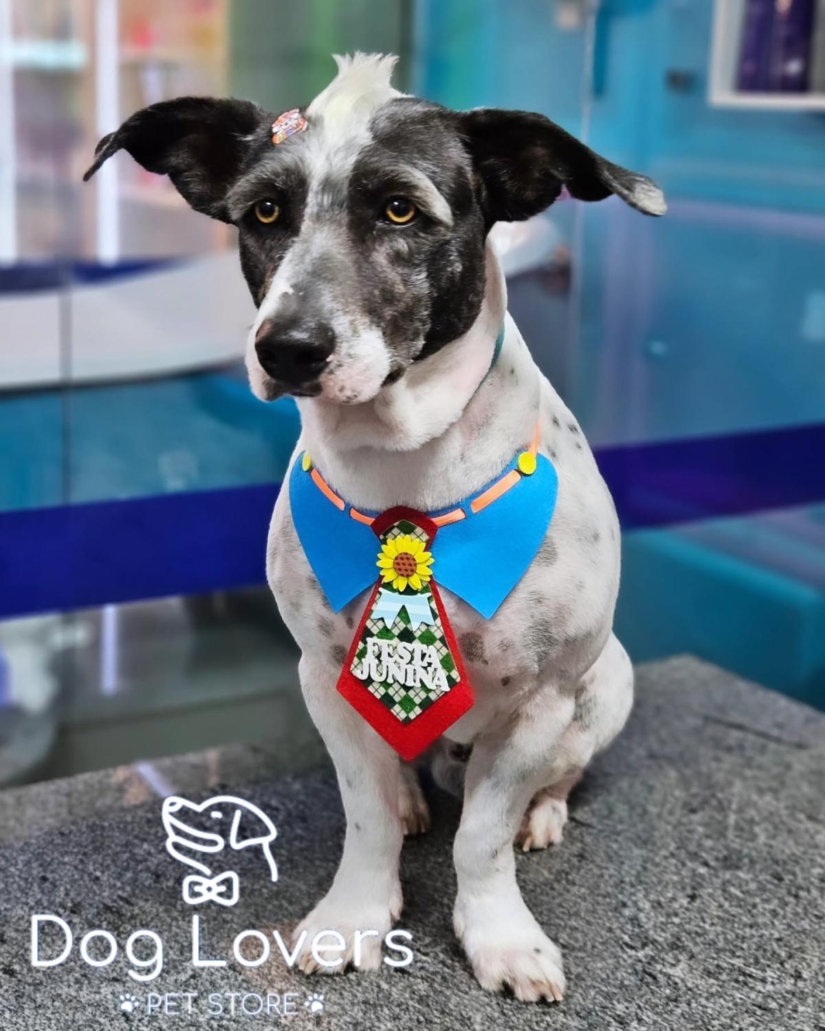 Dog Lovers Pet Store Dog Lovers Pet Store