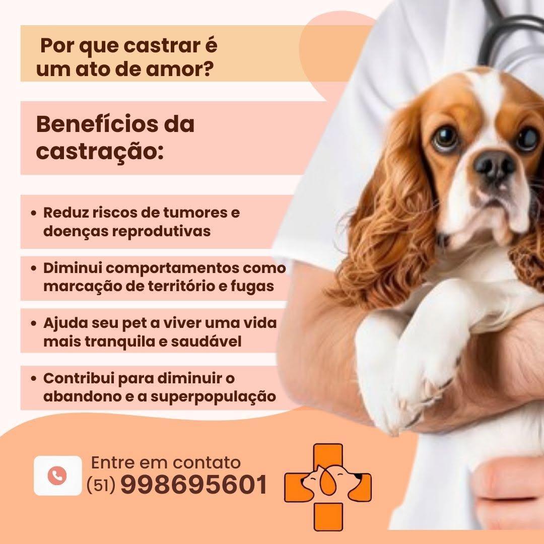 Clínica Veterinária Sinos Vet Clínica Veterinária Sinos Vet