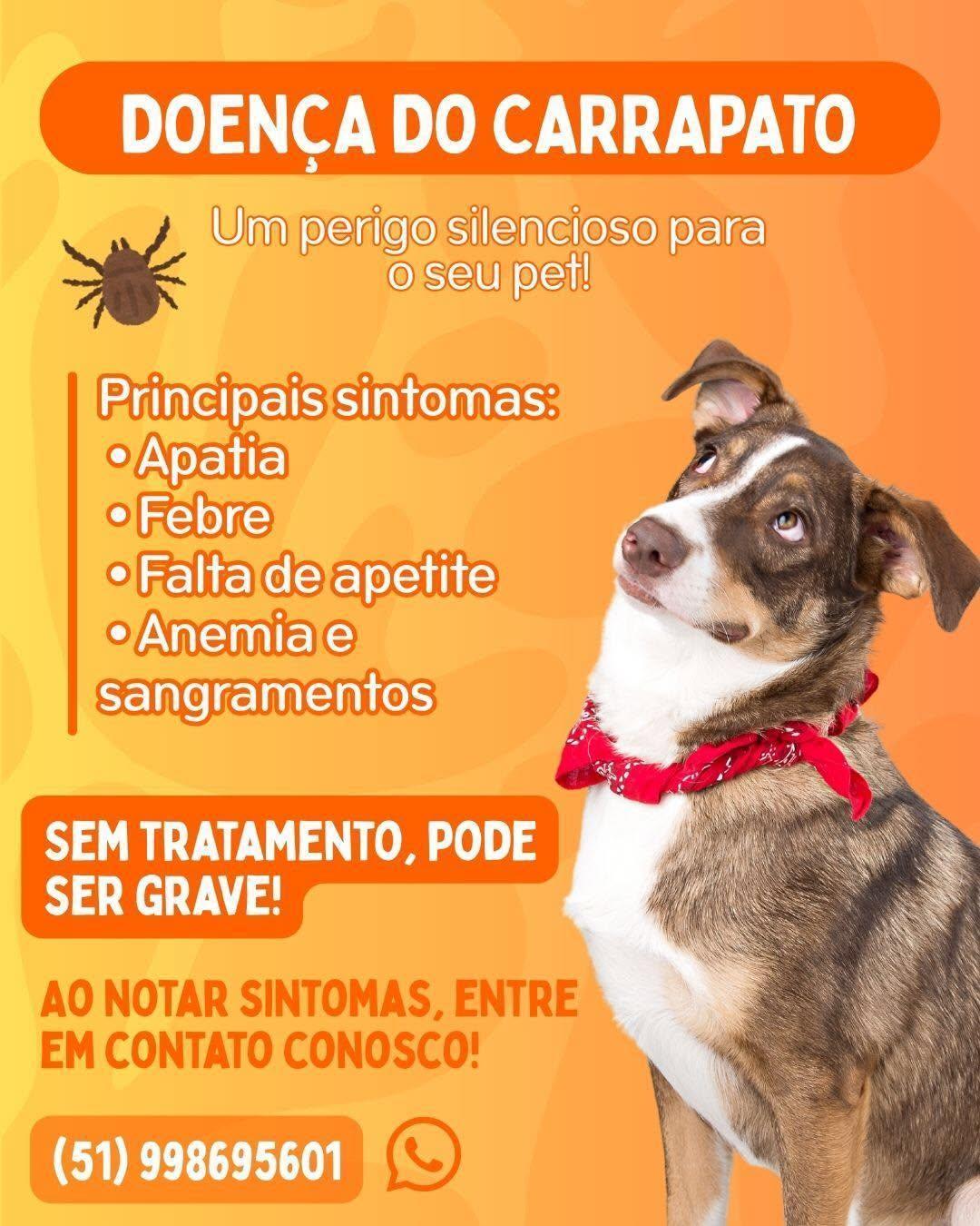 Clínica Veterinária Sinos Vet Clínica Veterinária Sinos Vet