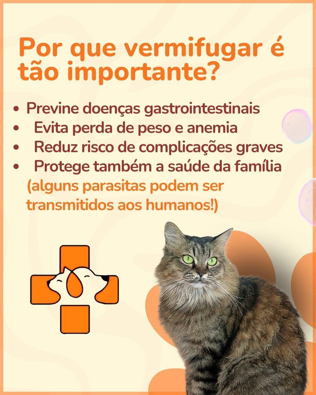 Clínica Veterinária Sinos Vet Clínica Veterinária Sinos Vet