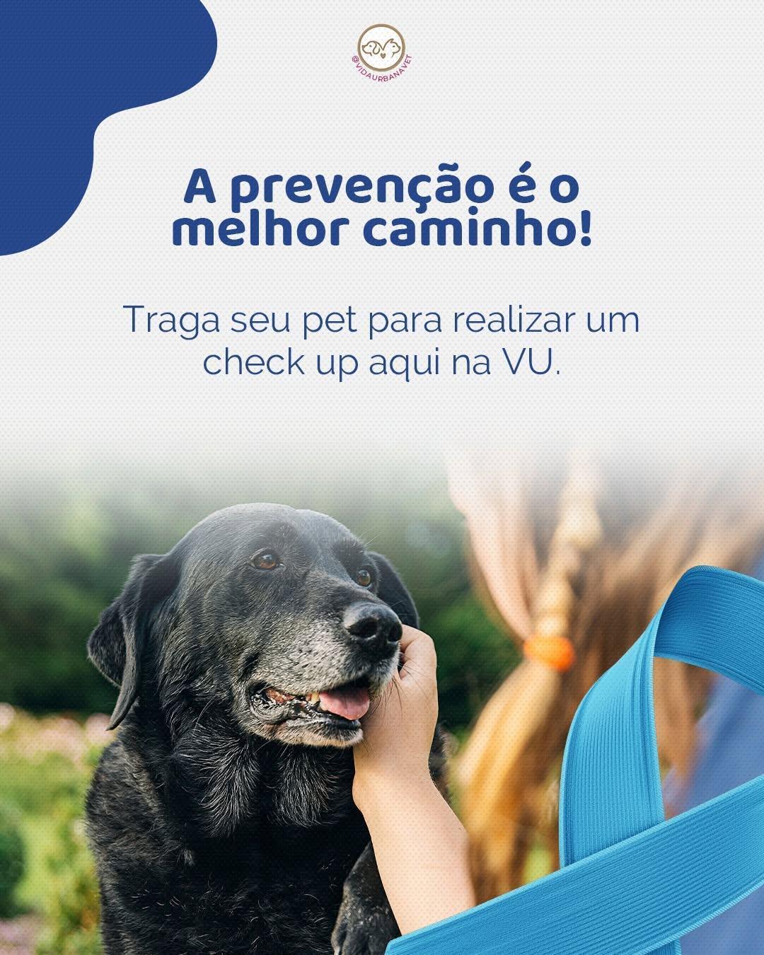 Vida Urbana Vet Vida Urbana Vet