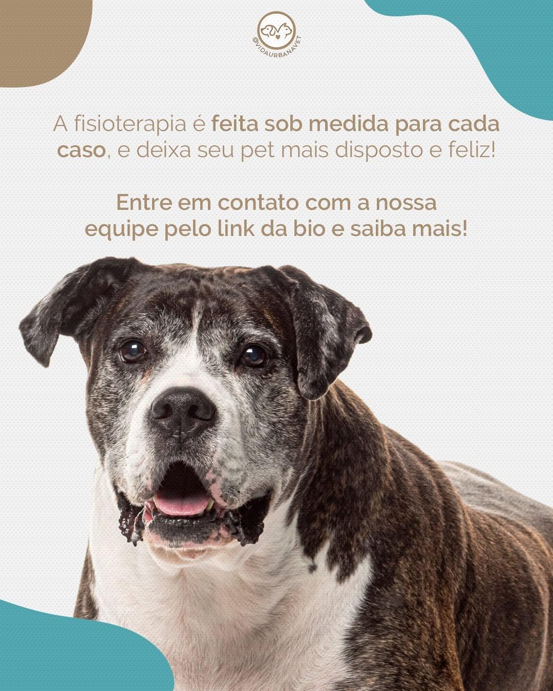 Vida Urbana Vet Vida Urbana Vet