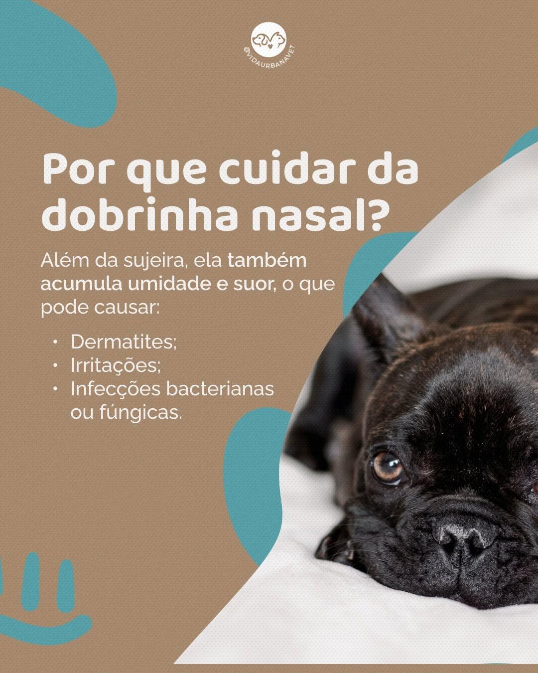Vida Urbana Vet Vida Urbana Vet