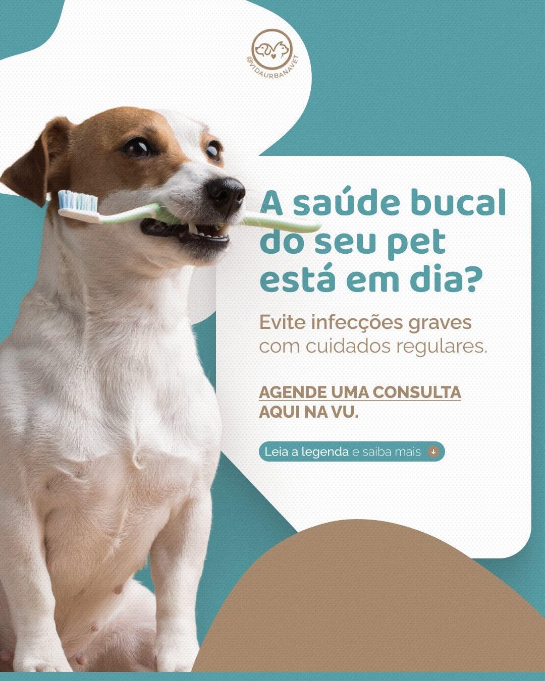 Vida Urbana Vet Vida Urbana Vet