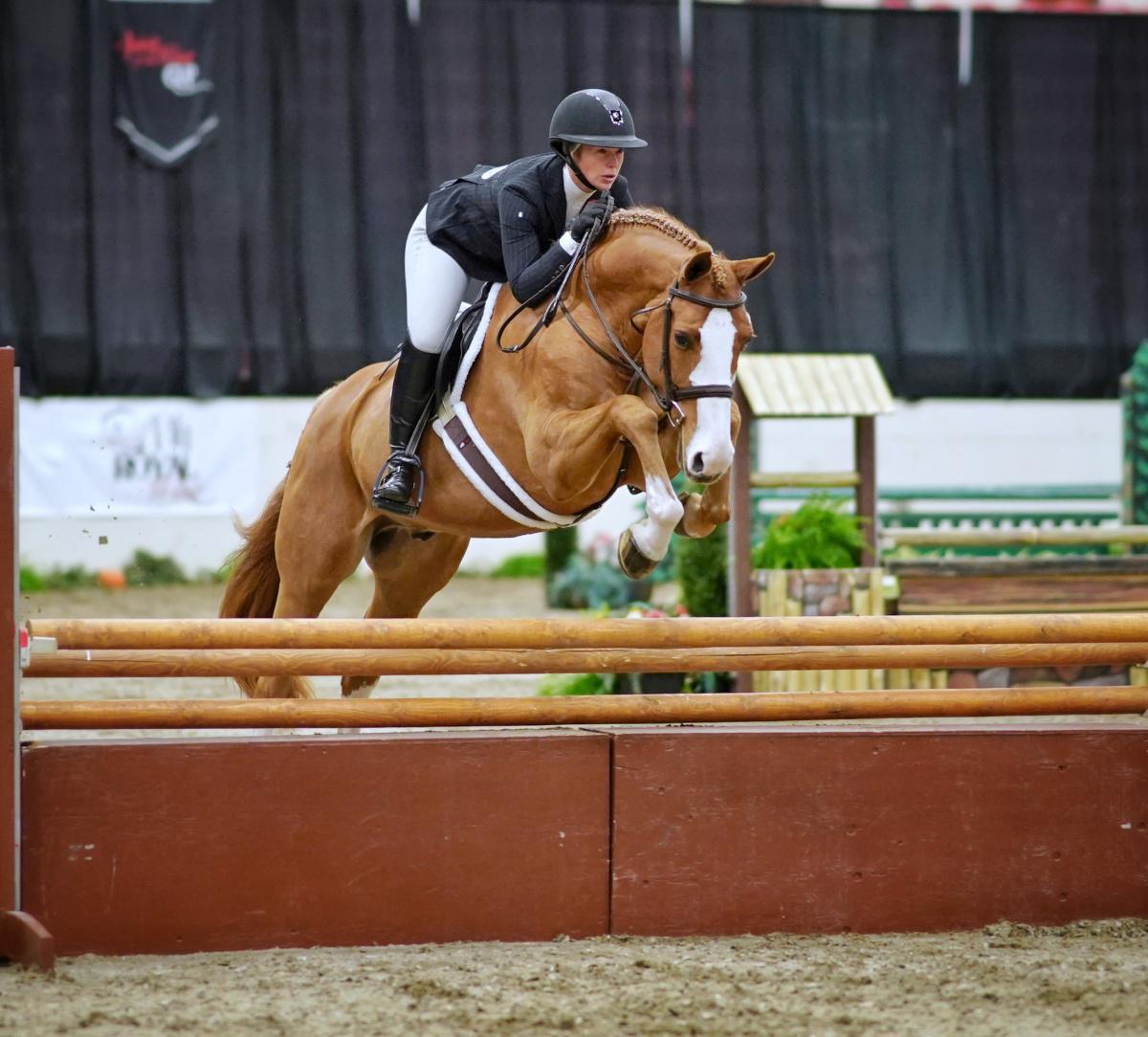Brooks Best of the Hunter Derby Field at Royal West Brooks Best of the Hunter Derby Field at Royal West