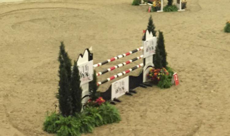 Royal West Mini Series 2020