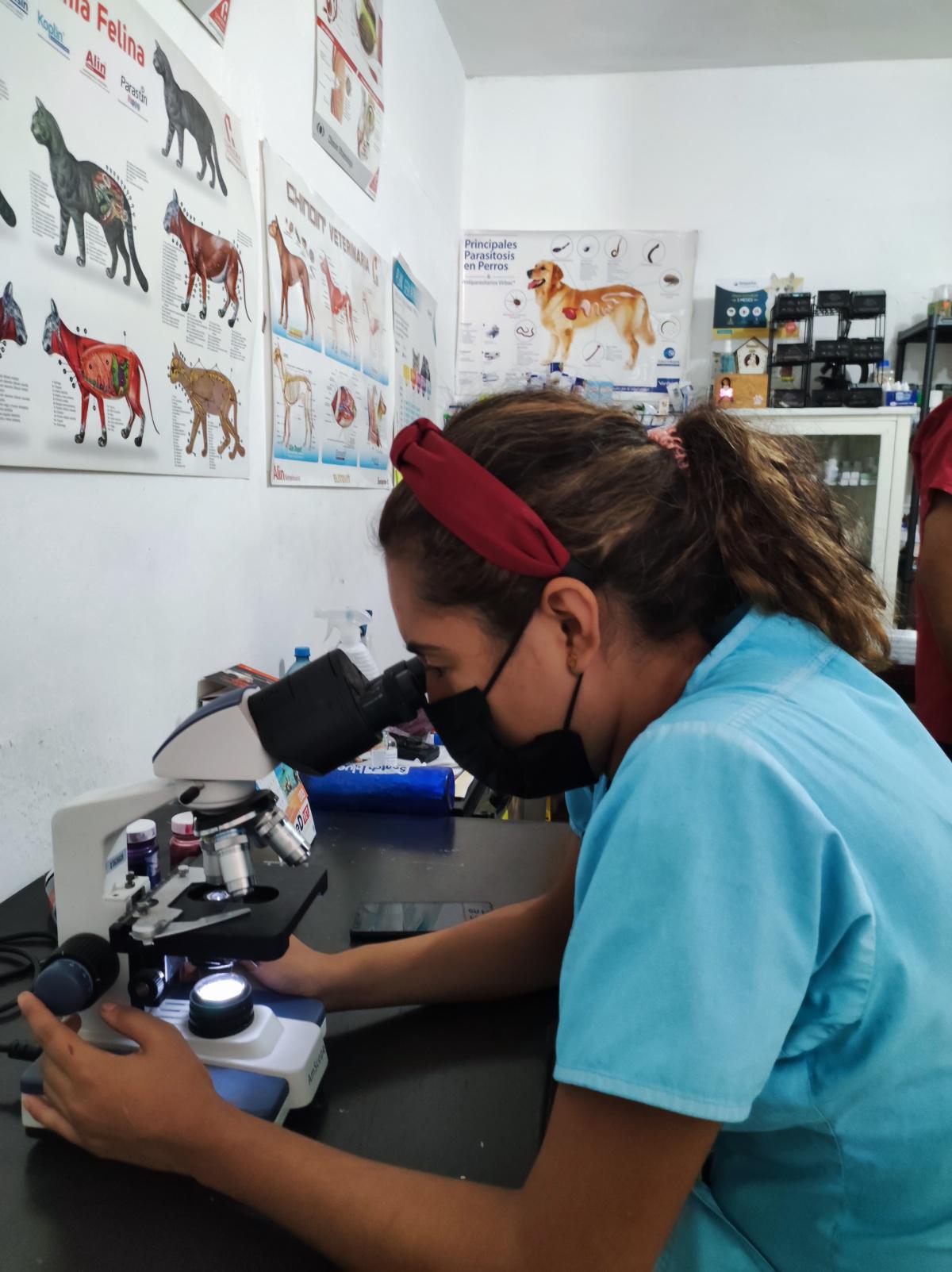 Veterinaria Joyita