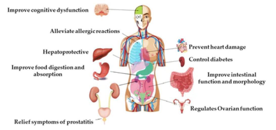 If You Can Get Natural Relief from Allergies, Would You Prefer It?