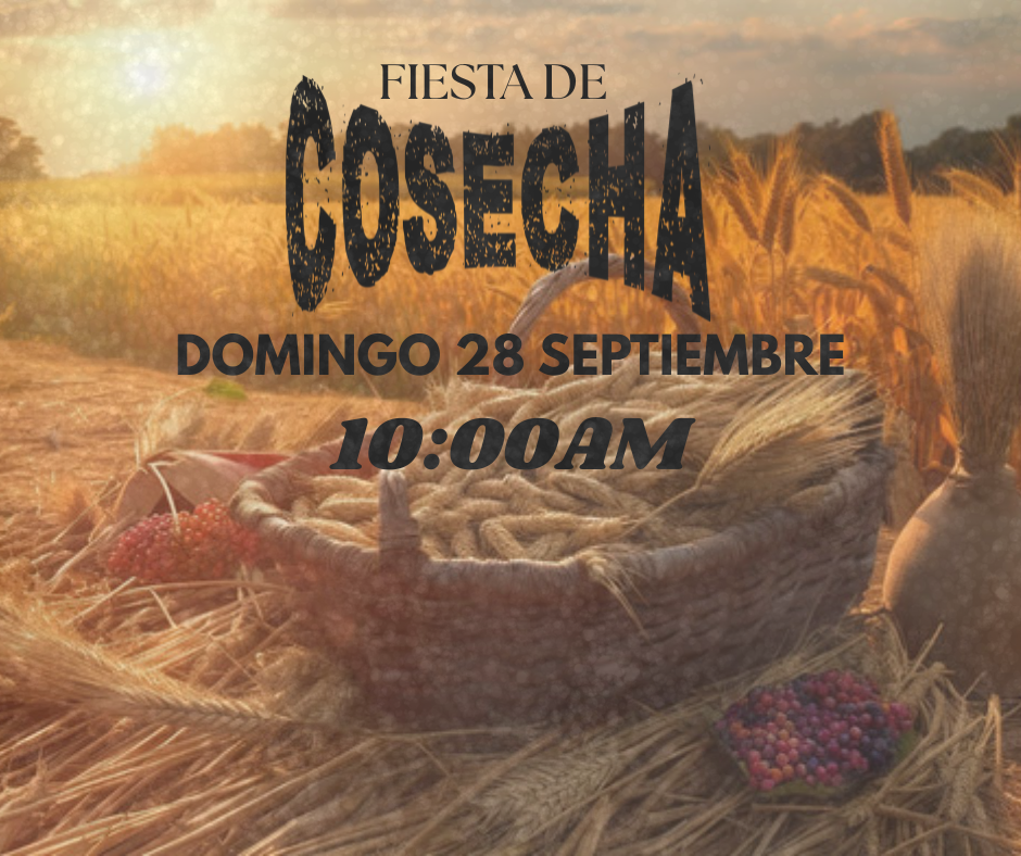FIESTA DE COSECHA