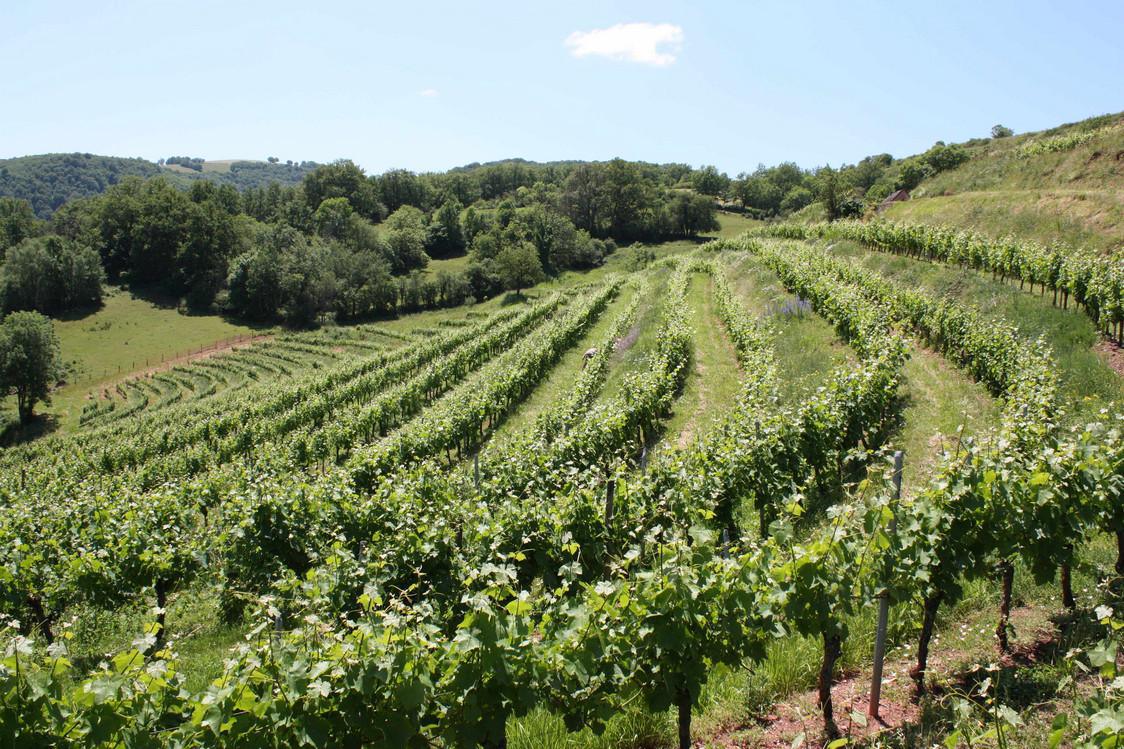 Bleu des Causses, Laguiole, Pérail (AOP en cours), Roquefort, Côtes de Millau, Entraygues-le Fel, Estaing, Marcillac