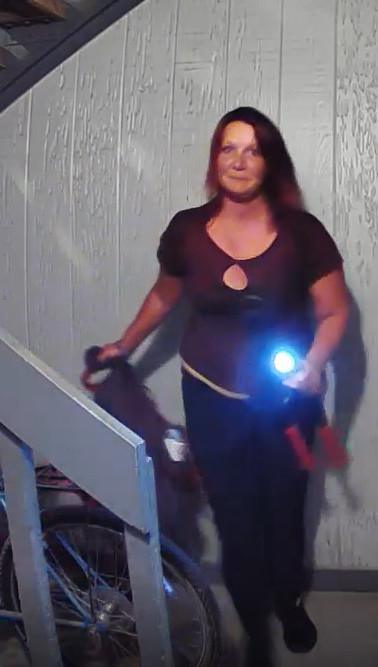 Caught Doing Bad: Ring camera catches women with bolt cutters attempting to steal bicycle