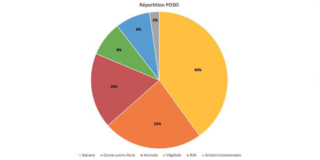 Développement du POSEI de l'Autosuffisance Alimentaire Développement du POSEI de l'Autosuffisance Alimentaire