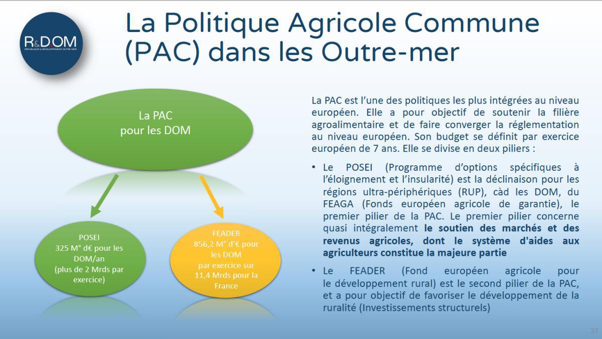 Conférence R&DOM "Quel avenir économique pour les enfants du territoire ?" Conférence R&DOM "Quel avenir économique pour les enfants du territoire ?"