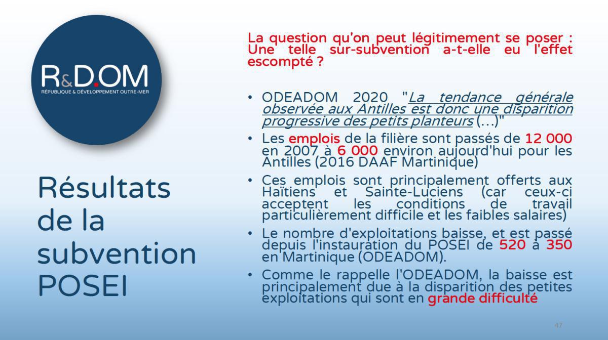Conférence R&DOM "Quel avenir économique pour les enfants du territoire ?"