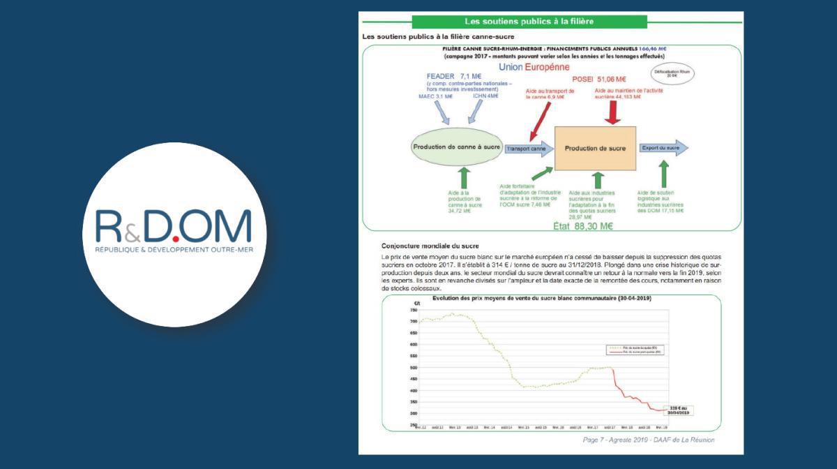 Conférence R&DOM "Quel avenir économique pour les enfants du territoire ?" Conférence R&DOM "Quel avenir économique pour les enfants du territoire ?"