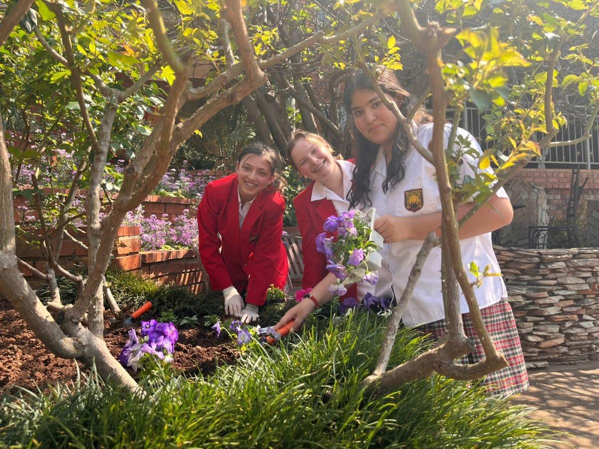 Newsletter 27 of 2025