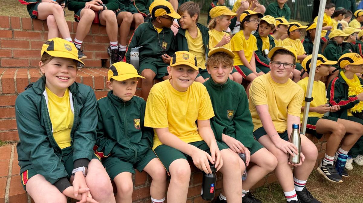 Newsletter 31 of 2025