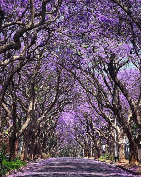 Newsletter 33 of 2025