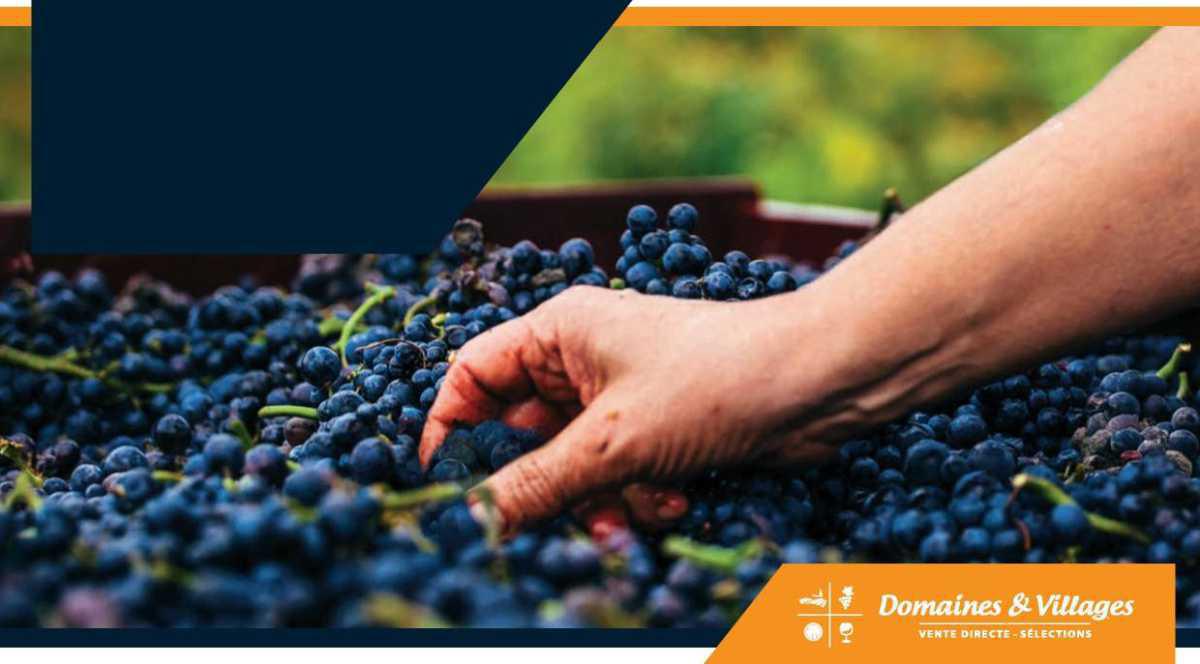 Commande groupée de vins>>Distribution des commandes de Vin Domaines et Villages Mercredi 4 Décembre de 13h30 a 16h salle TGV Commande groupée de vins>>Distribution des commandes de Vin Domaines et Villages Mercredi 4 Décembre de 13h30 a 16h salle TGV