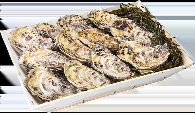 Commande huitres à la COOP, NOEL 2025