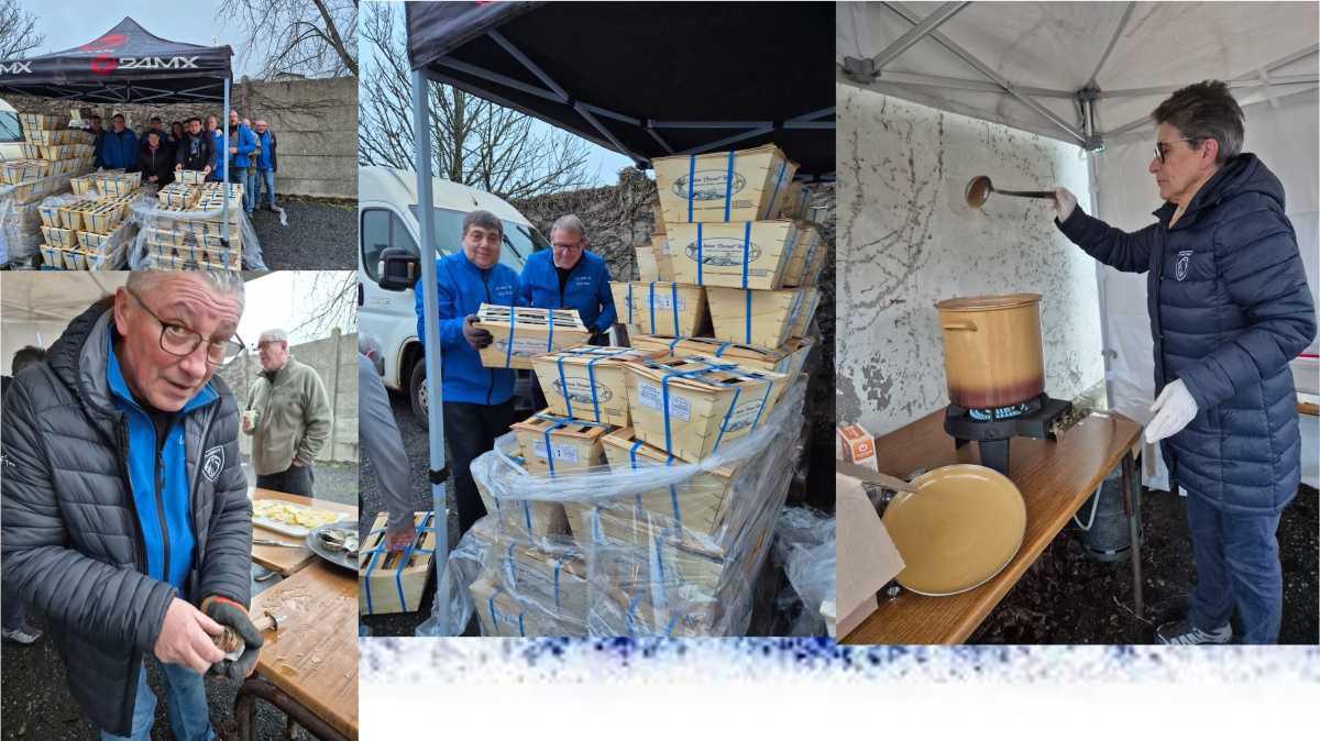 Distribution des huitres à la COOP, quelques images.