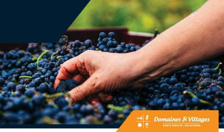 Commande groupée de vins>>Distribution des commandes de Vin Domaines et Villages Mercredi 4 Décembre de 13h30 a 16h salle TGV