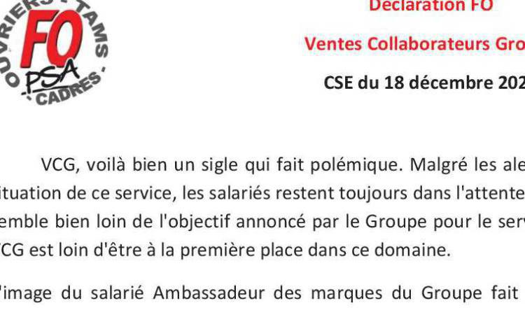 Déclaration CSE du 18 Decembre 2020 Vente voitures aux collaborateurs