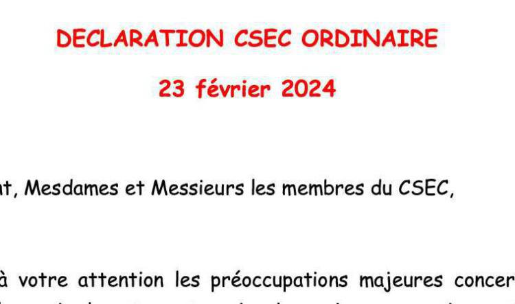 Déclaration FO au CSEC du 23 Févier.