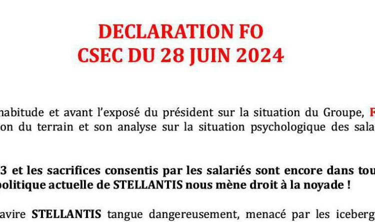 Déclaration FO lue devant le RH monde lors du CSE Central.