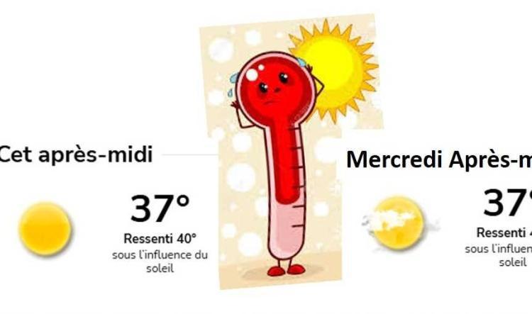 Alerte Canicule …