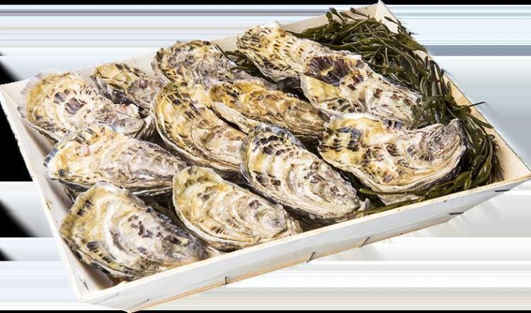 Commande huitres à la COOP, NOEL 2025