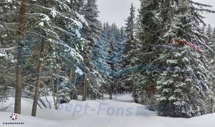 Sortie ski 2026, les images....