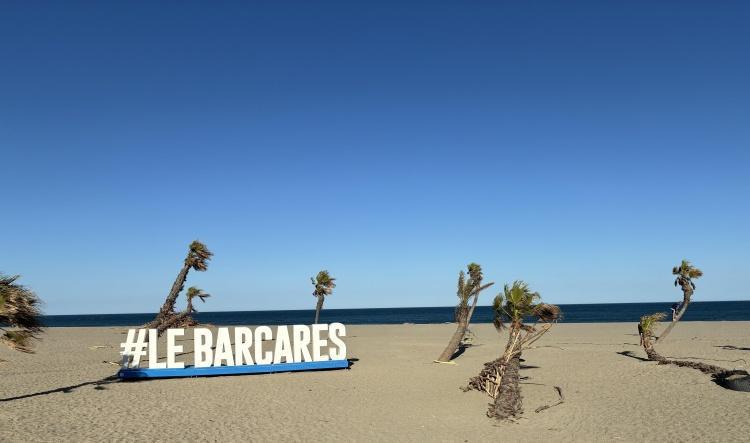 Sortie Printemps 2026, les images.