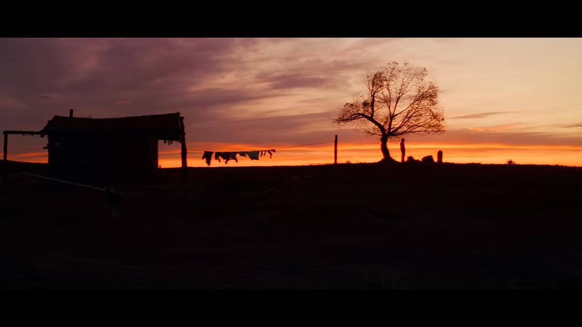 جمال السينما: رحلة بصرية عبر الفن السابع