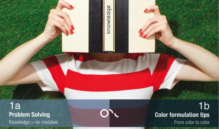 COLOR FORMULATIONS TIPS