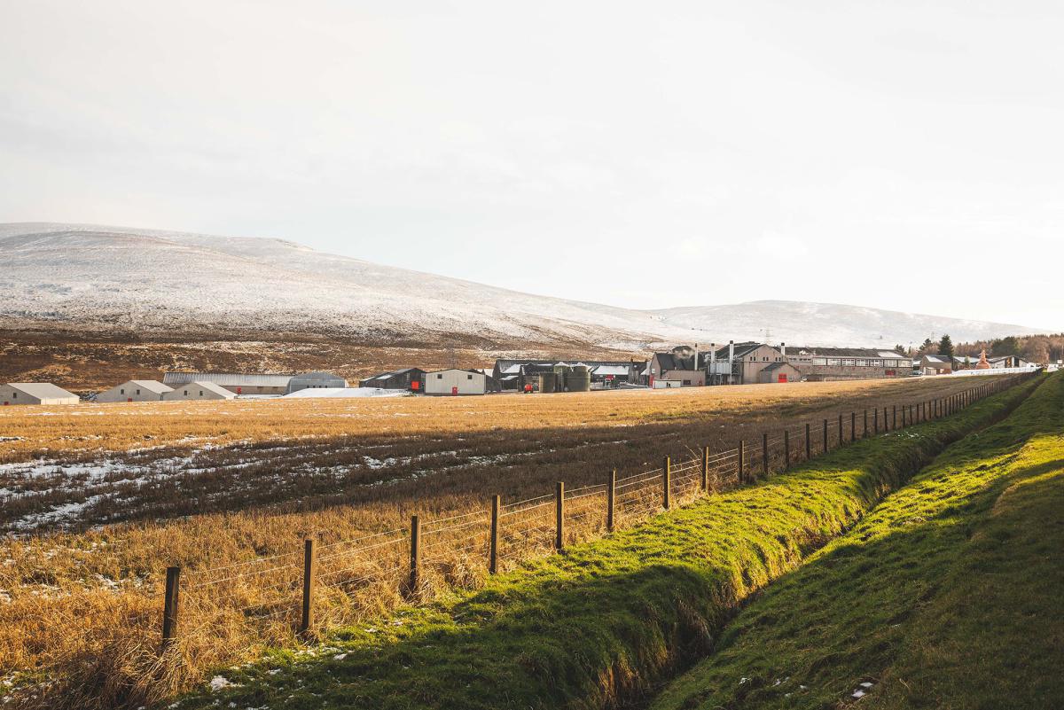 HANON et Mizuno affichent leur amour commun du whisky avec The Angel's Share HANON et Mizuno affichent leur amour commun du whisky avec The Angel's Share