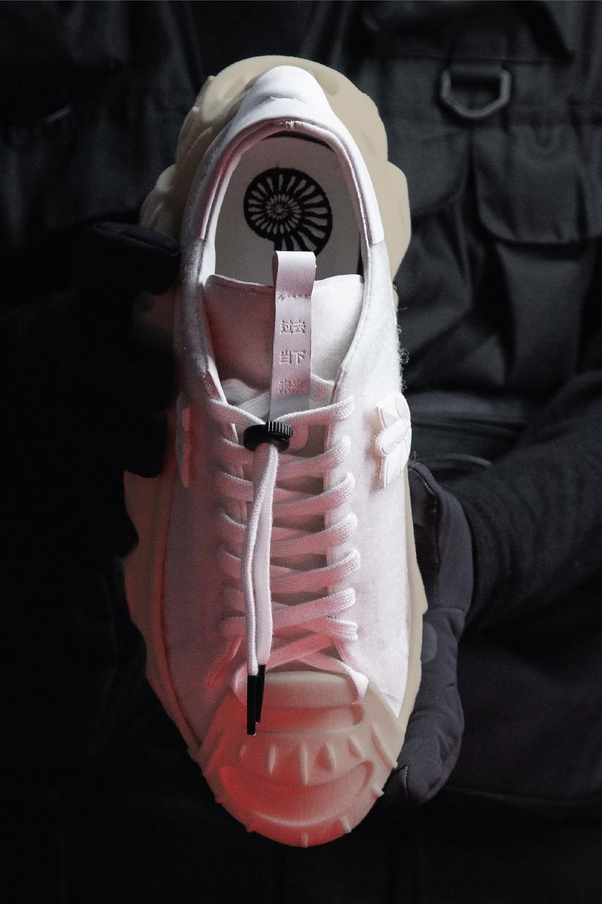 La "superstar des ammonites" de M. Bailey explore l'évolution de la Shell Toe