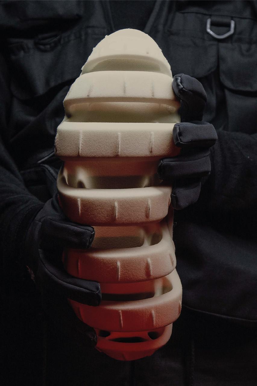 La "superstar des ammonites" de M. Bailey explore l'évolution de la Shell Toe La "superstar des ammonites" de M. Bailey explore l'évolution de la Shell Toe