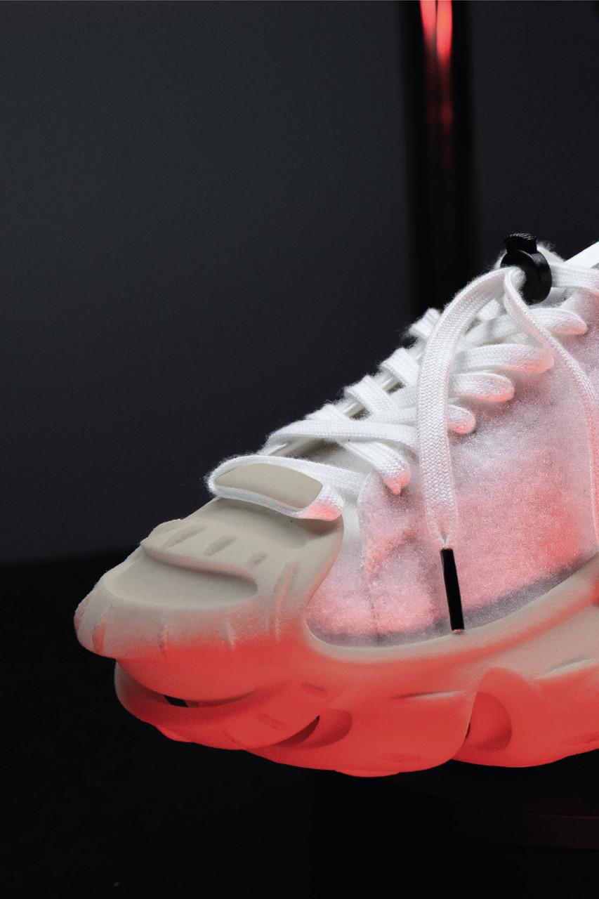 La "superstar des ammonites" de M. Bailey explore l'évolution de la Shell Toe