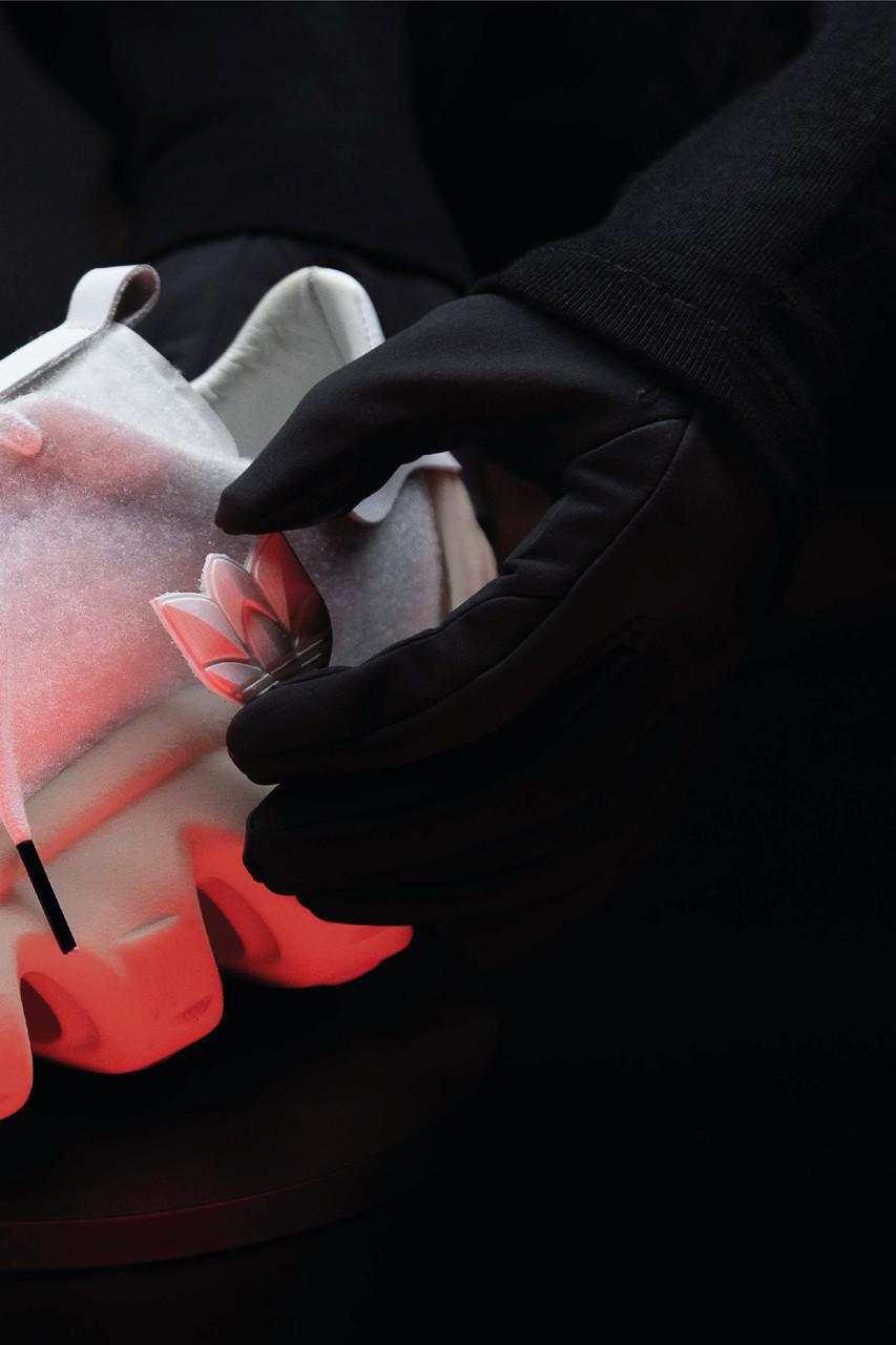 La "superstar des ammonites" de M. Bailey explore l'évolution de la Shell Toe La "superstar des ammonites" de M. Bailey explore l'évolution de la Shell Toe